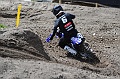 ROB_1673 (Copy)